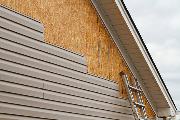 Professional Wood Siding technician working in Cambridge, IL